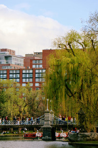 IMG_7322.jpg
