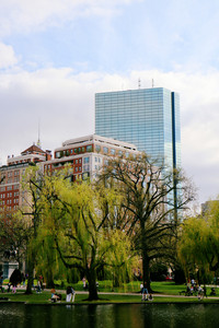IMG_7324.jpg