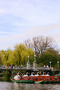 IMG_7336.jpg
