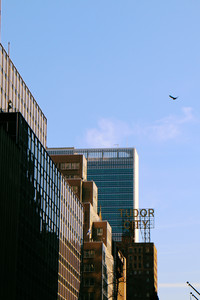 IMG_4888.jpg