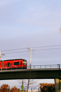 IMG_6693.jpg