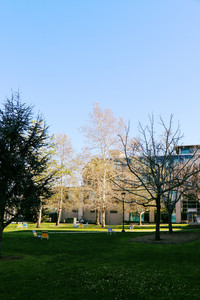IMG_6930.jpg